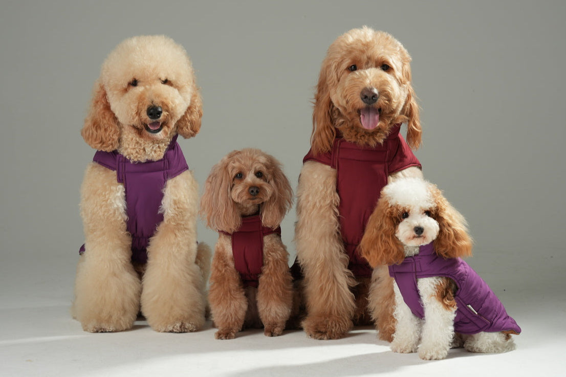 Reversible Dog Vest Jacket-Purple Caramel