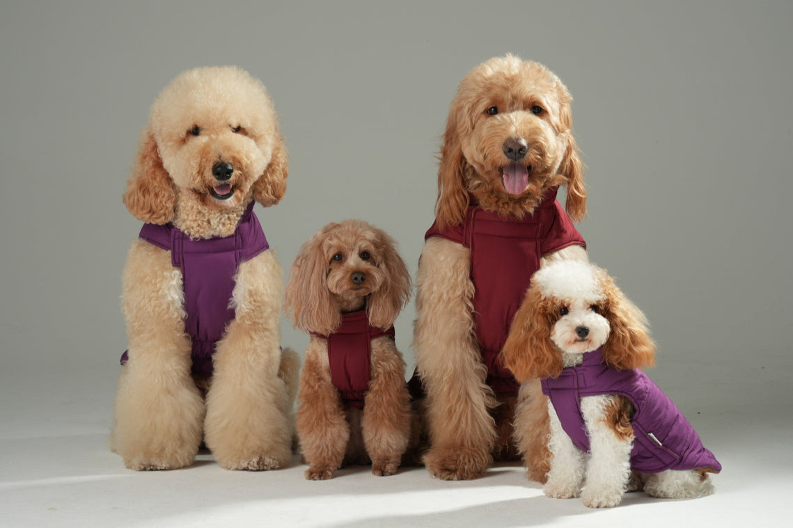 Reversible Dog Vest Jacket-Red Brown