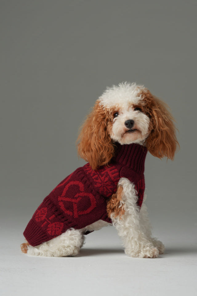 Pretzel Pet Sweater-Burgundy Red