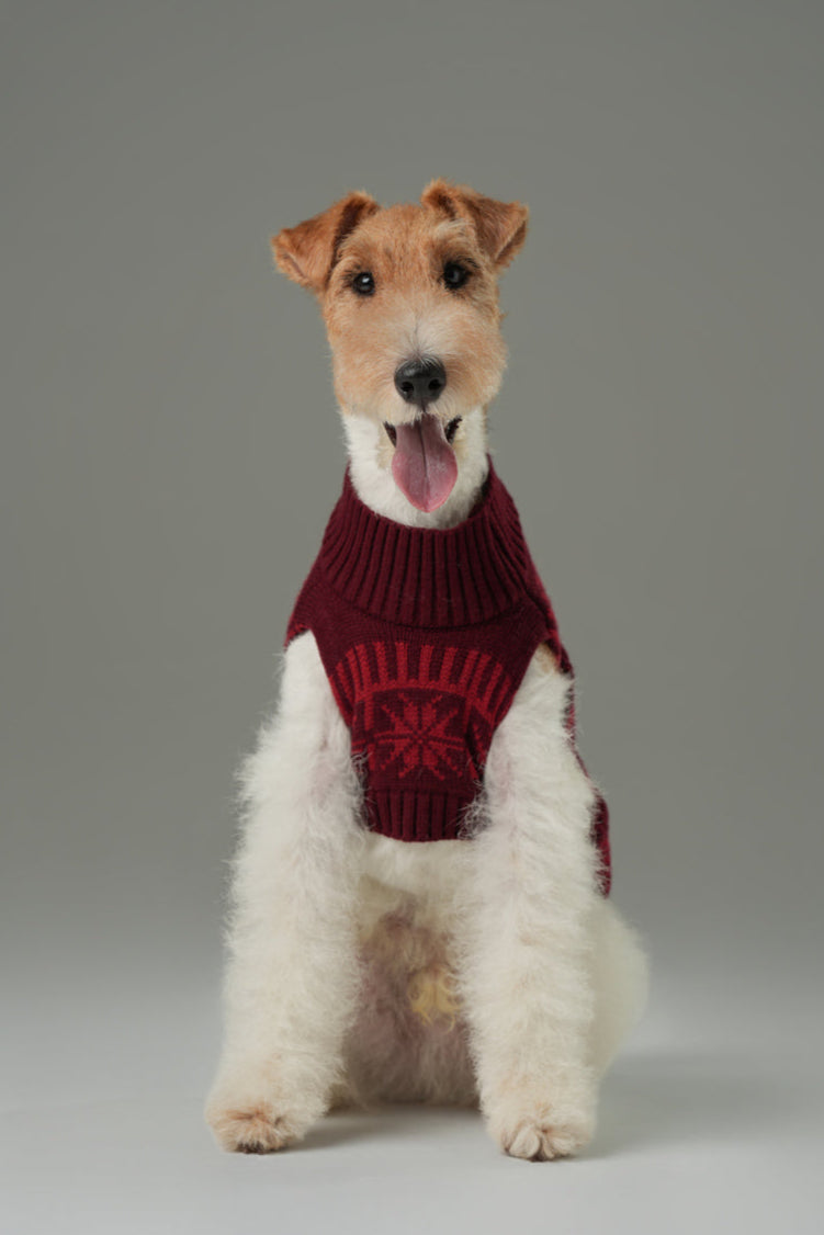 Pretzel Pet Sweater-Burgundy Red