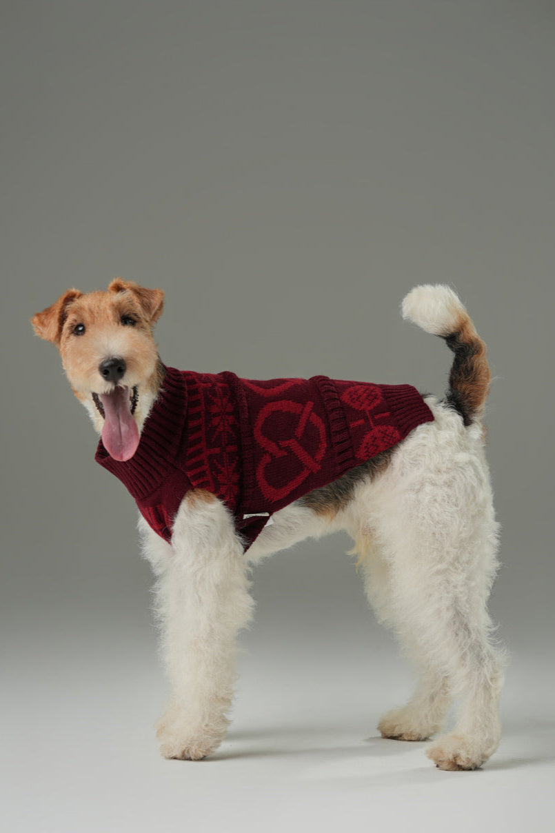Pretzel Pet Sweater-Burgundy Red