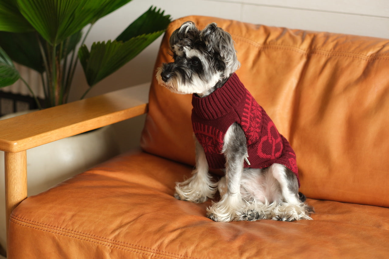 Pretzel Pet Sweater-Burgundy Red