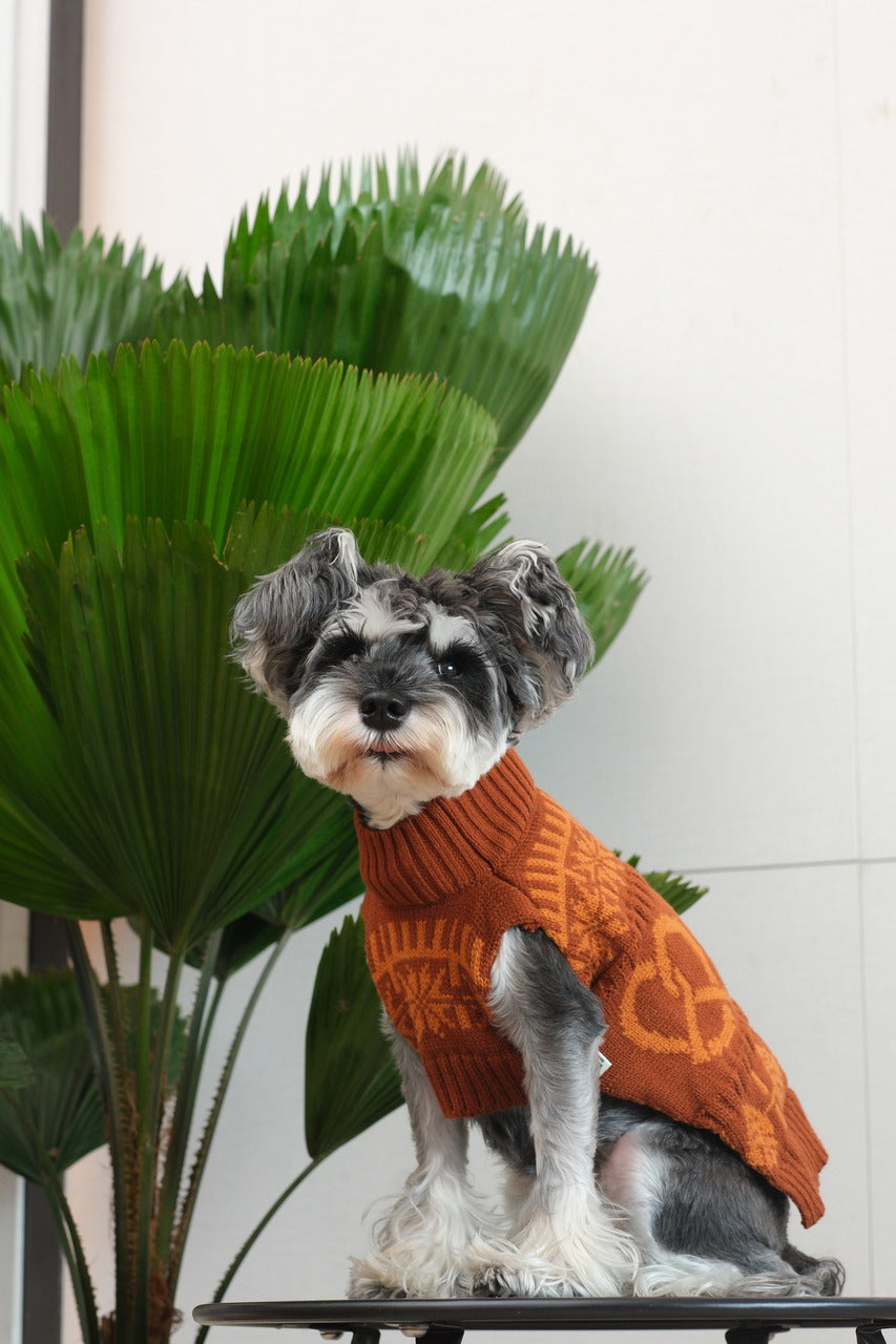 Pretzel Pet Sweater-Toffee Orange