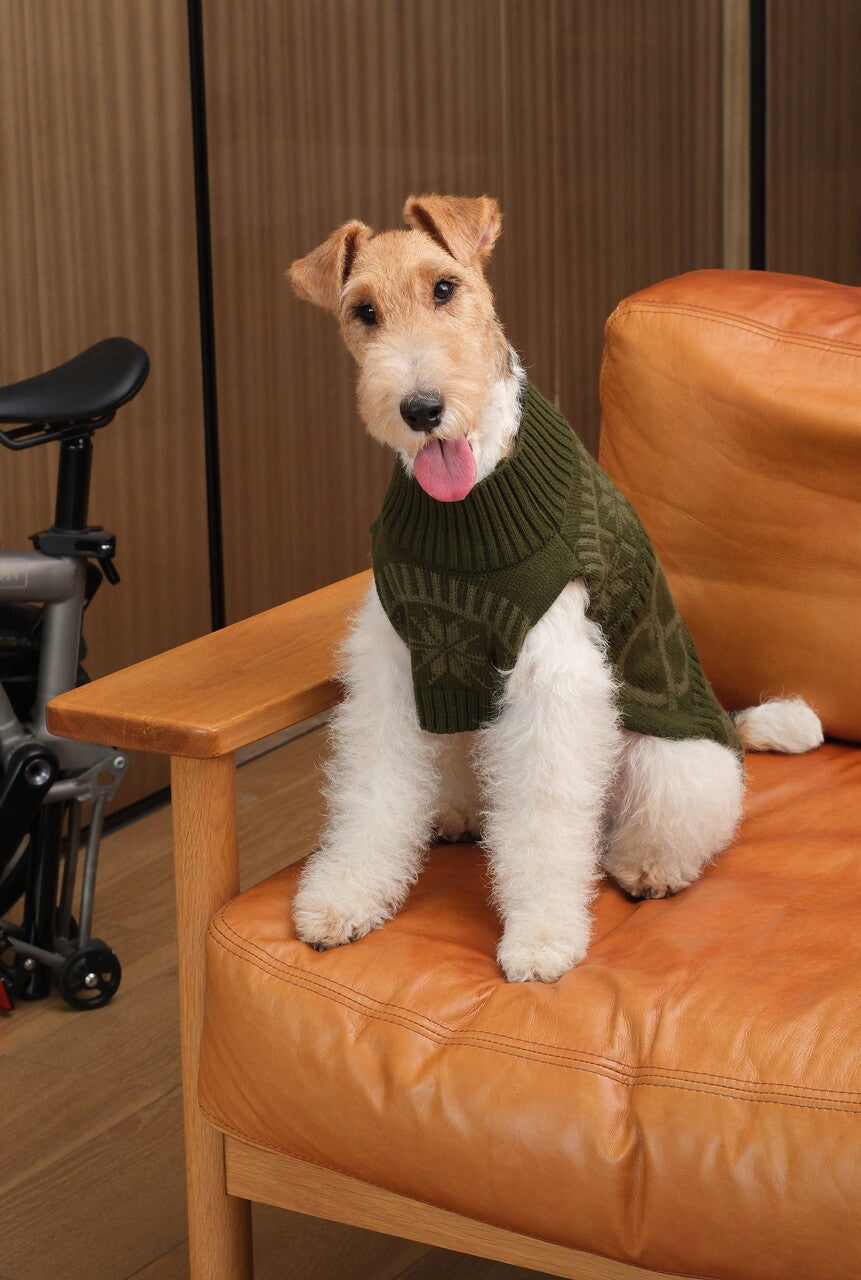 Pretzel Pet Sweater-Olive Green
