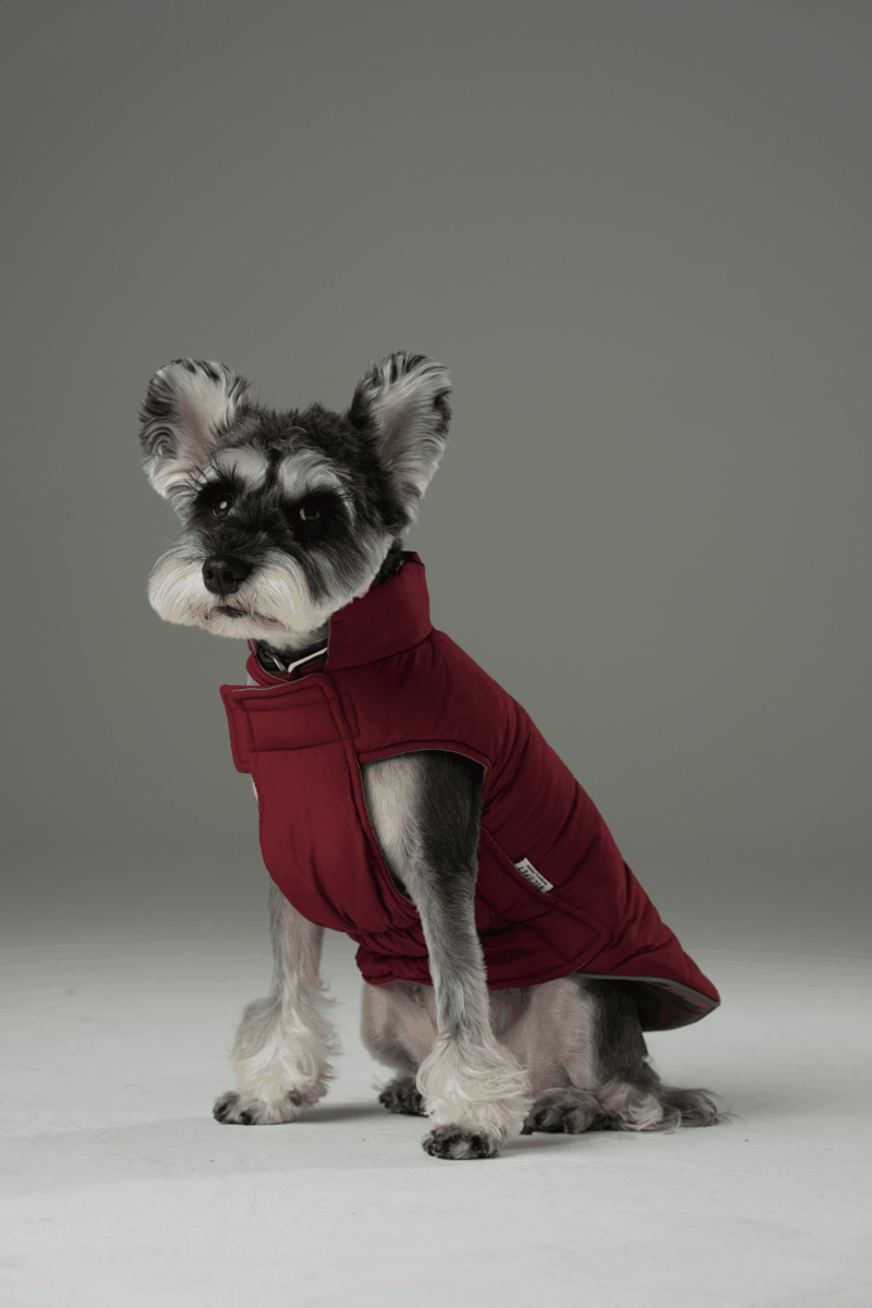 Reversible Dog Vest Jacket-Red Brown