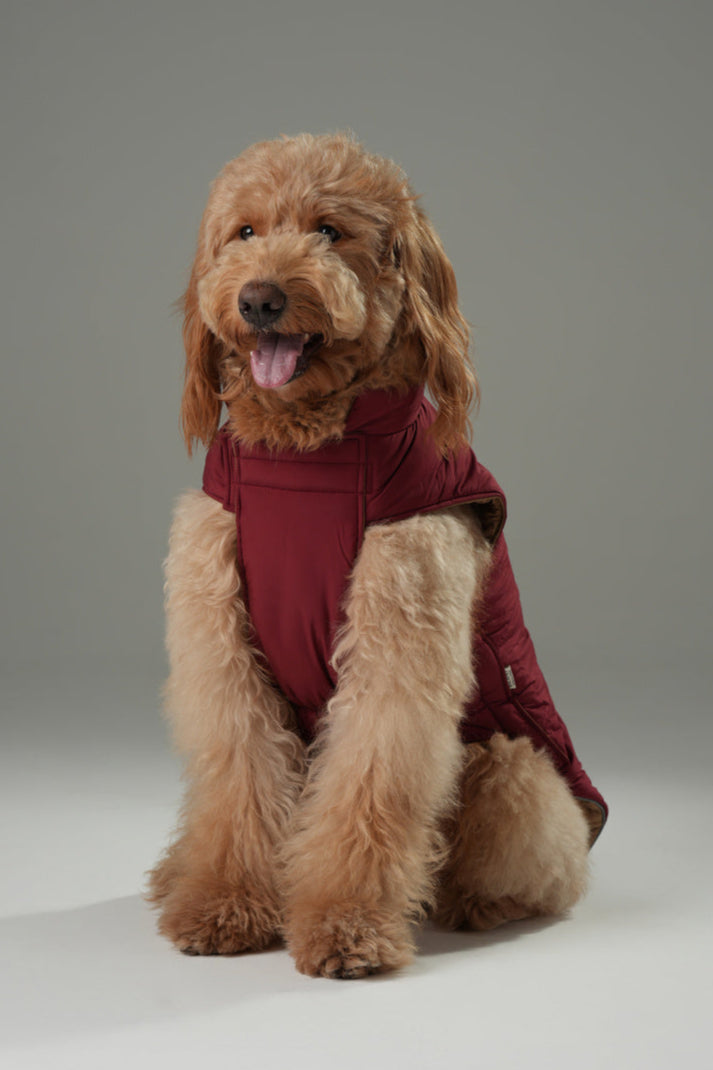 Reversible Dog Vest Jacket-Red Brown