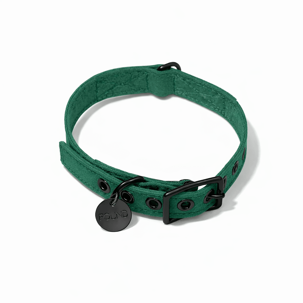 Pine Waxed Cotton Canvas Cat & Dog Collar – Matte Black Hardware