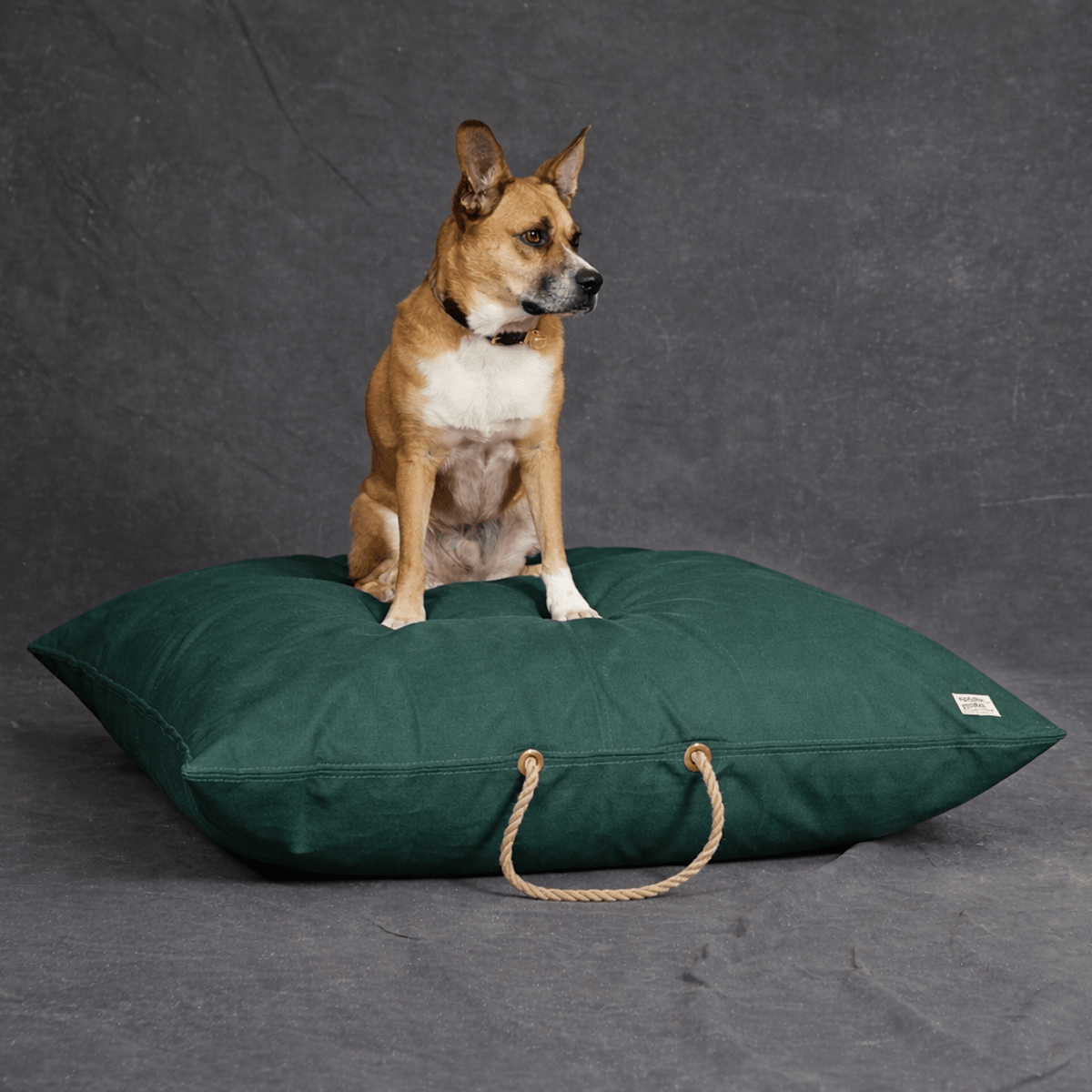 Pine Waxed Cotton Canvas Dog Bed