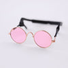 Hello Doggie Dog Sunglasses pet sunglasses