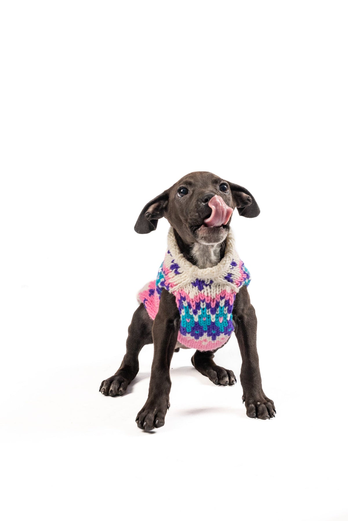 Chilly Dog Pink Ski Bum Wool Dog Sweater
