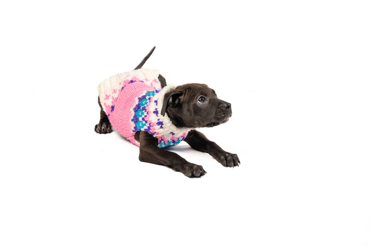 Chilly Dog Pink Ski Bum Wool Dog Sweater