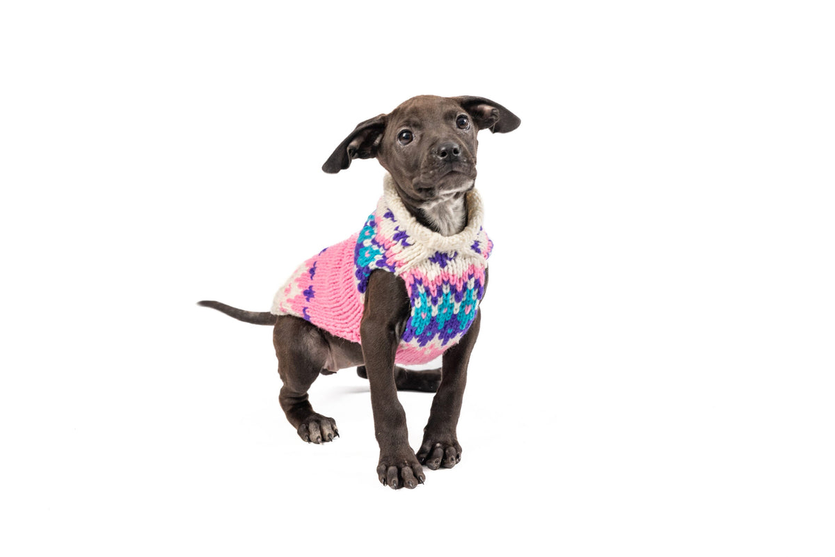 Chilly Dog Pink Ski Bum Wool Dog Sweater
