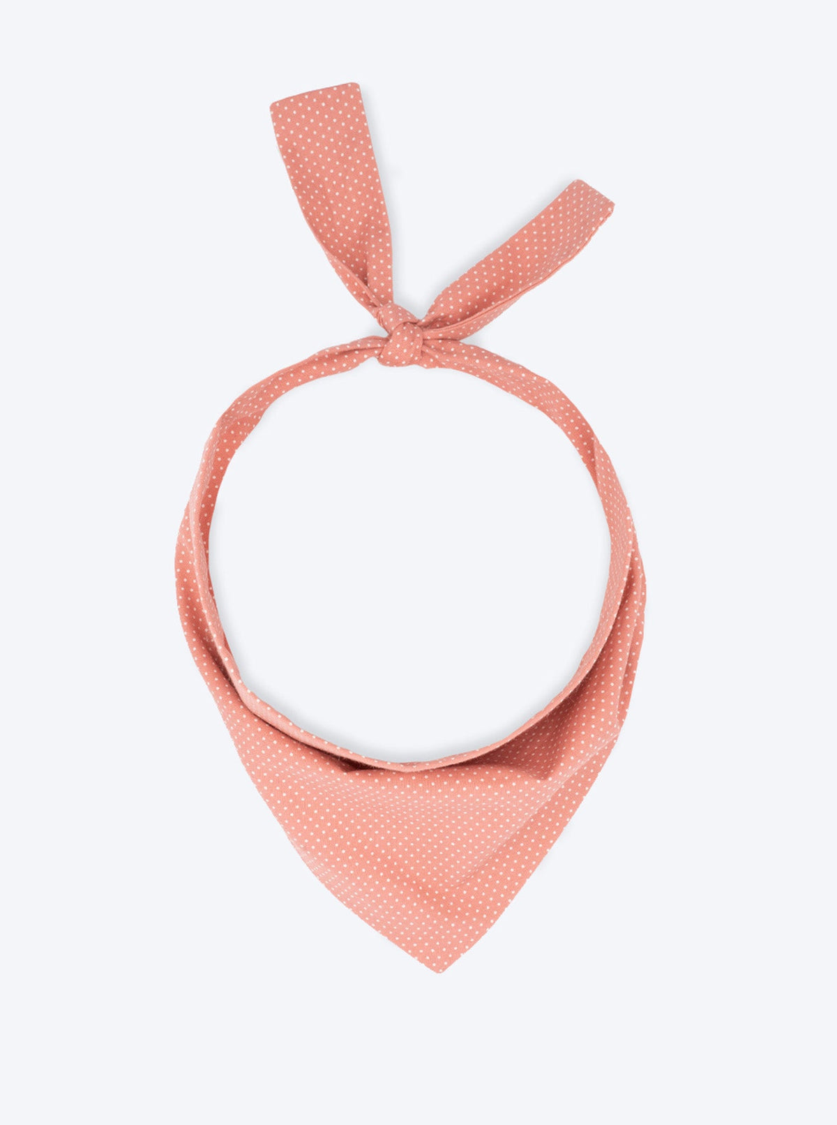 PARTY BANDANA | HT Animal Supply