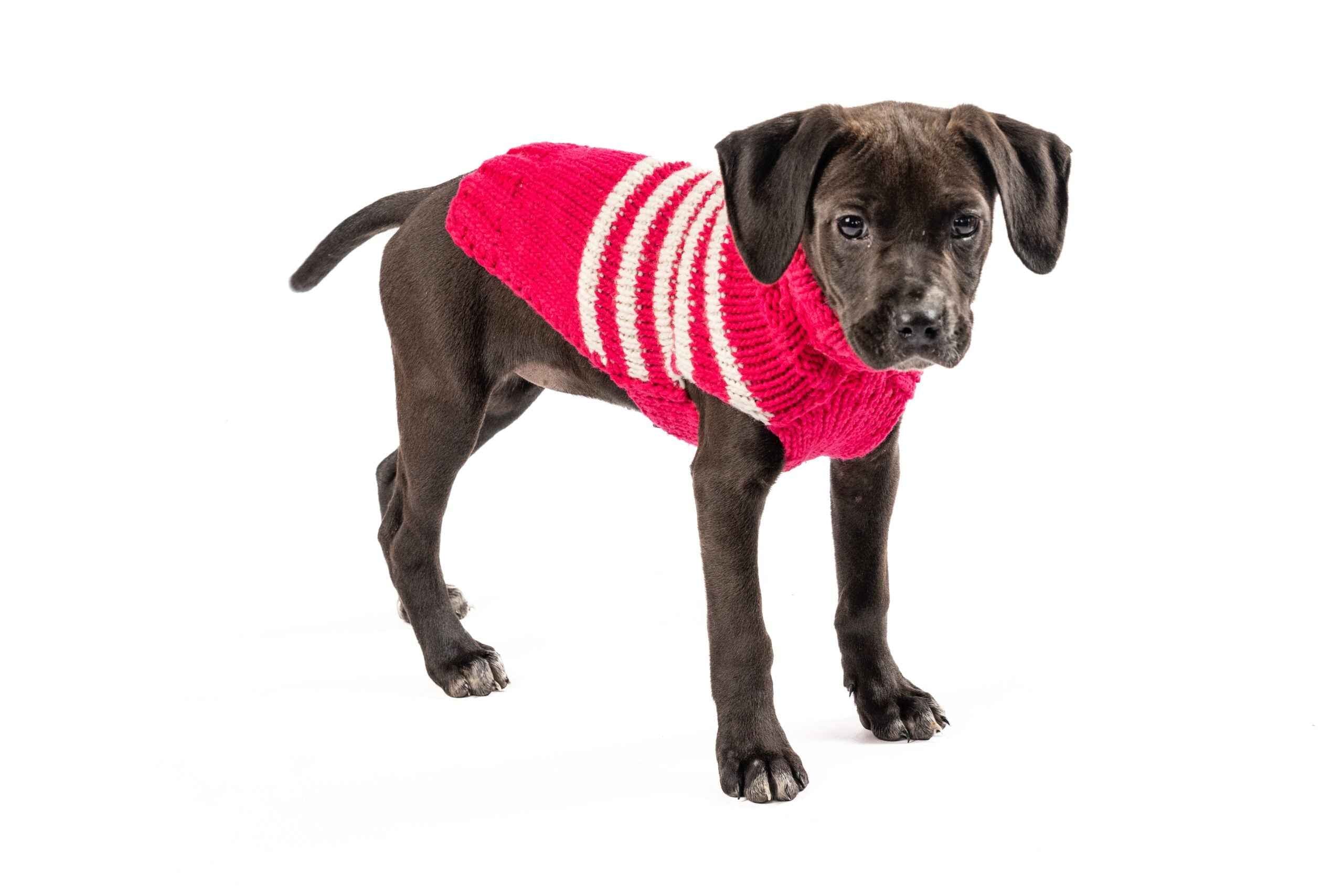 Chilly Dog Katie Stripe Alpaca Wool Dog Sweater
