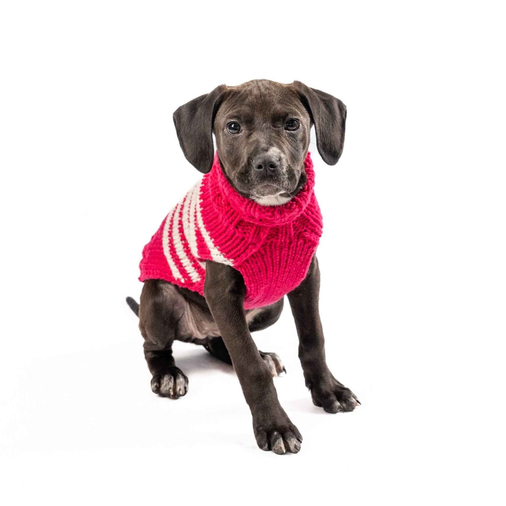 Chilly Dog Katie Stripe Alpaca Wool Dog Sweater
