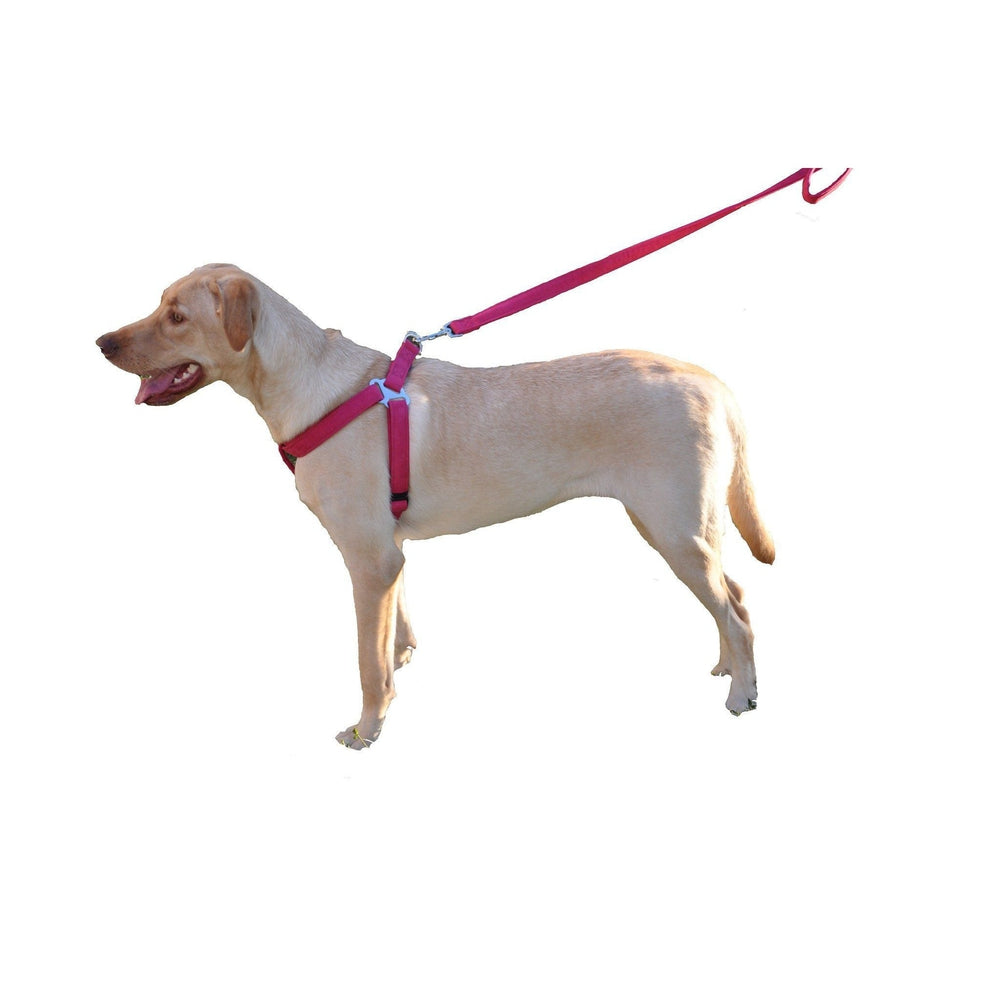 Dogline Comfort Microfiber Flat Step-In Dog Harness