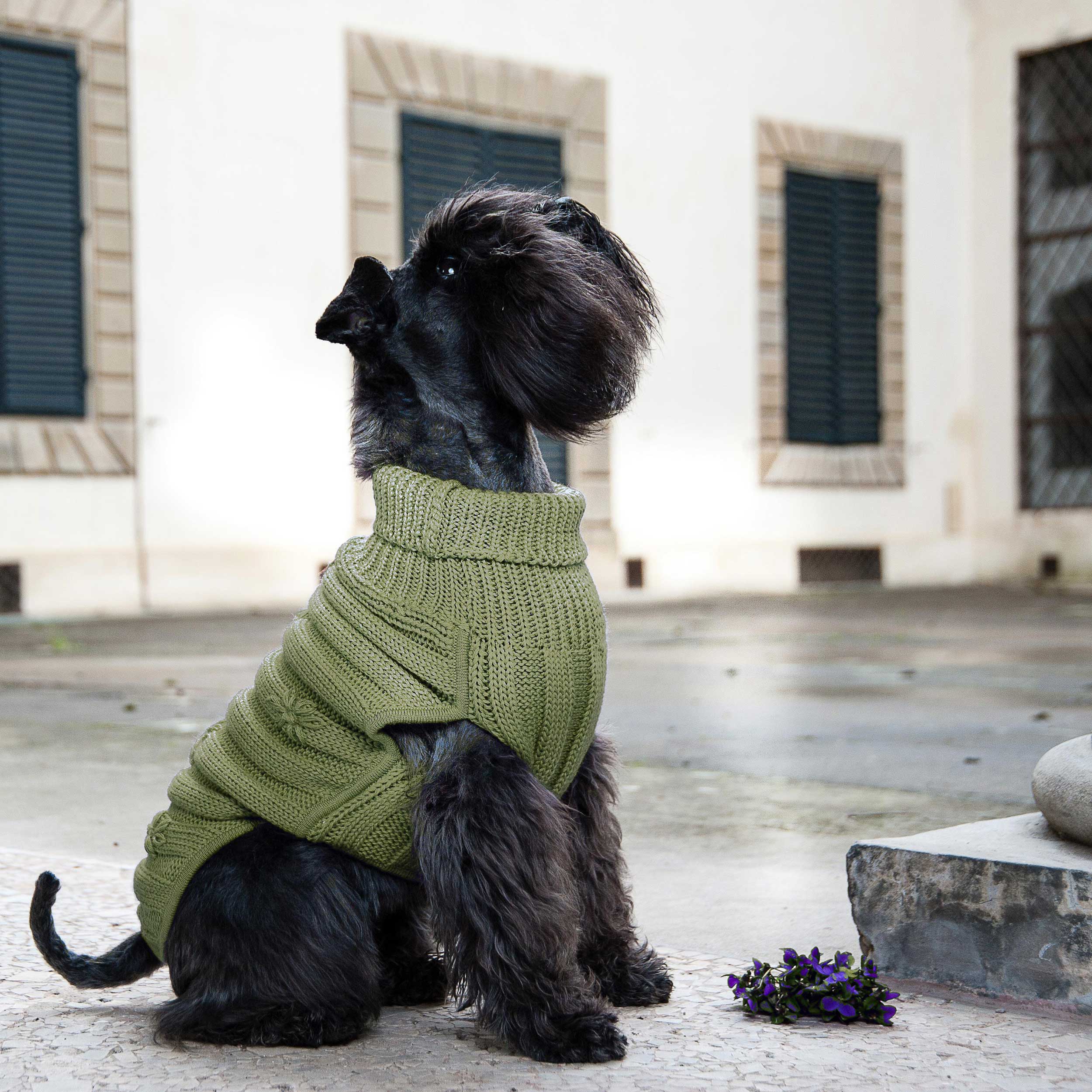 Pistachio Flowers-Up & Down