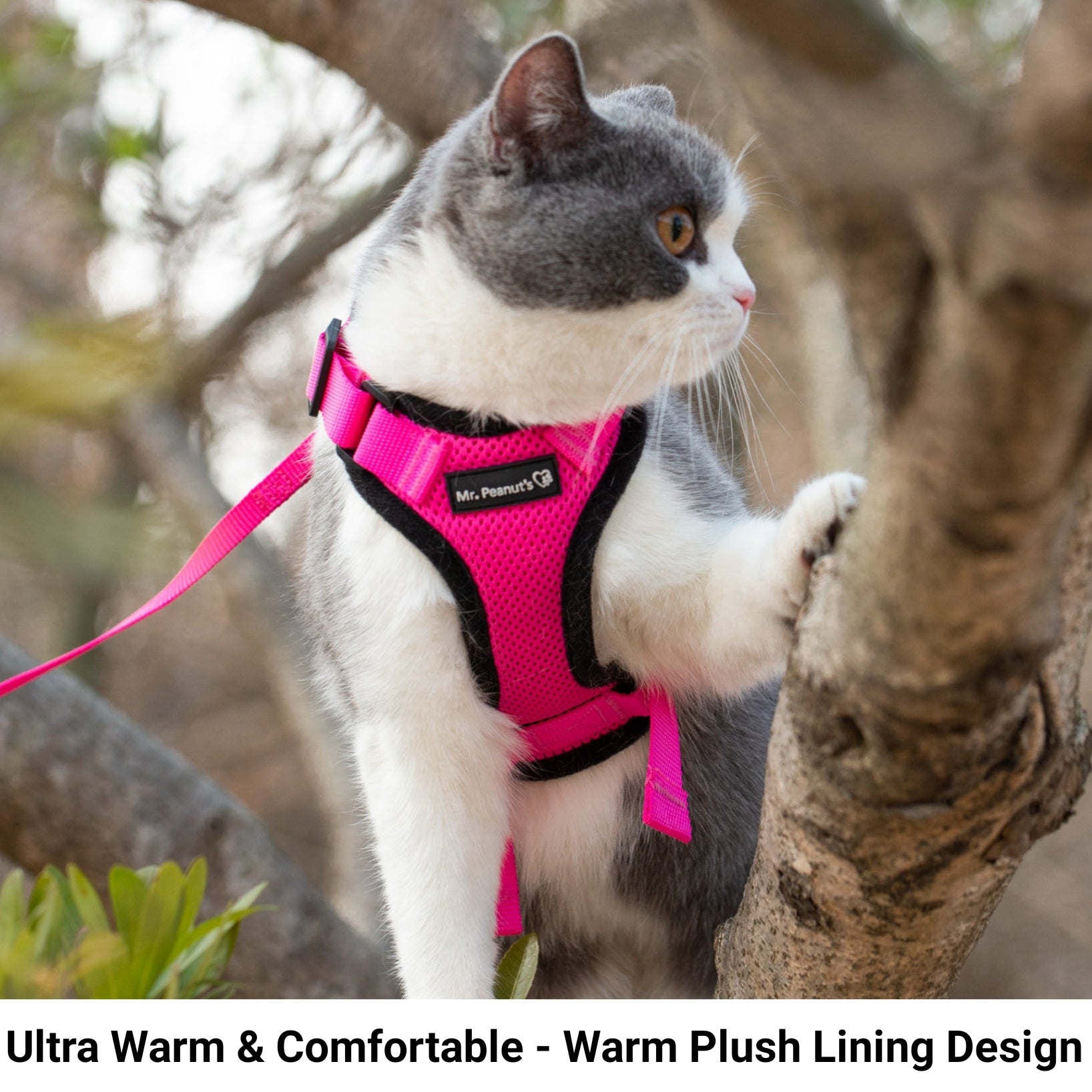 Mr. Peanuts PurrTrek Reflective Cat Harness with Matching Leash