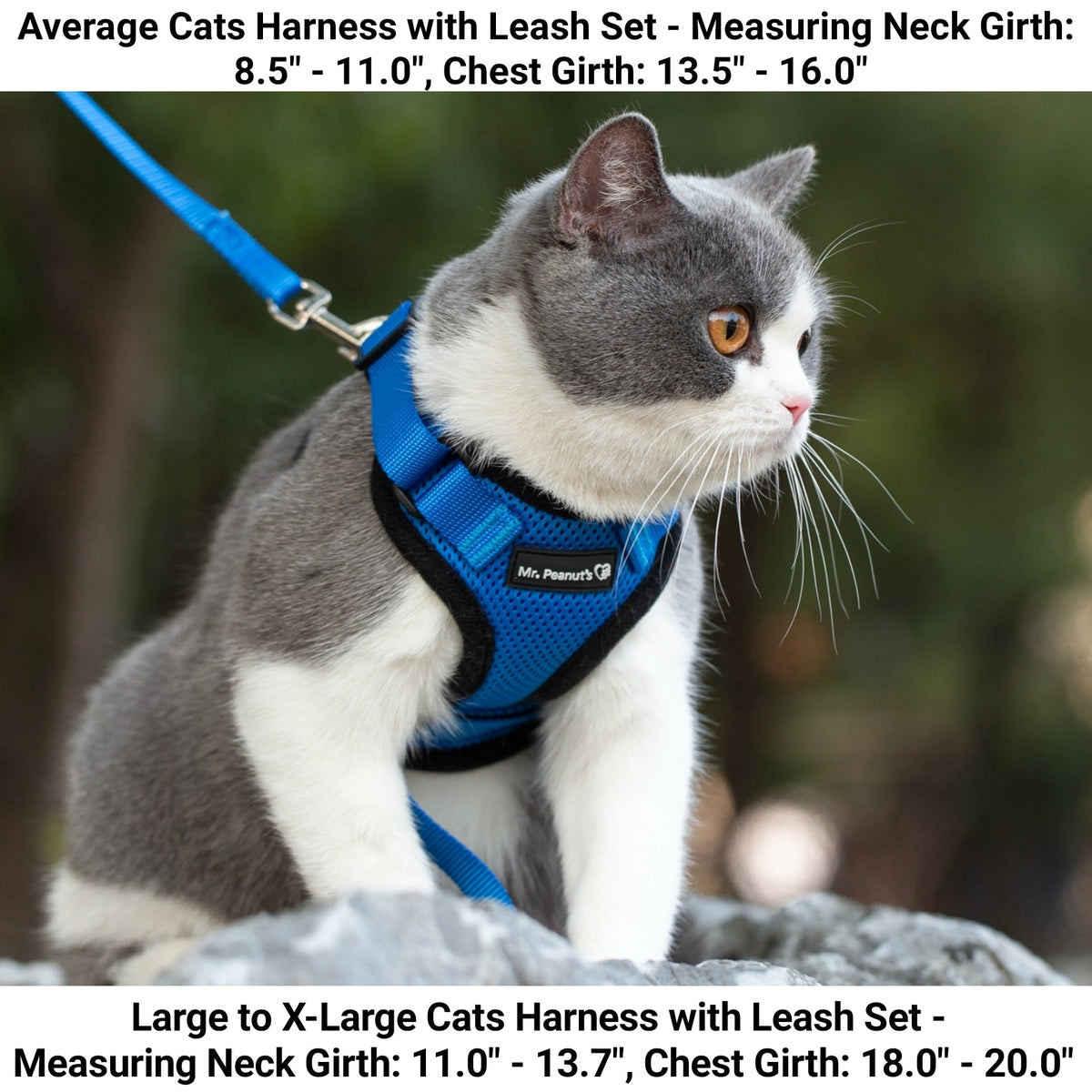 Mr. Peanuts PurrTrek Reflective Cat Harness with Matching Leash