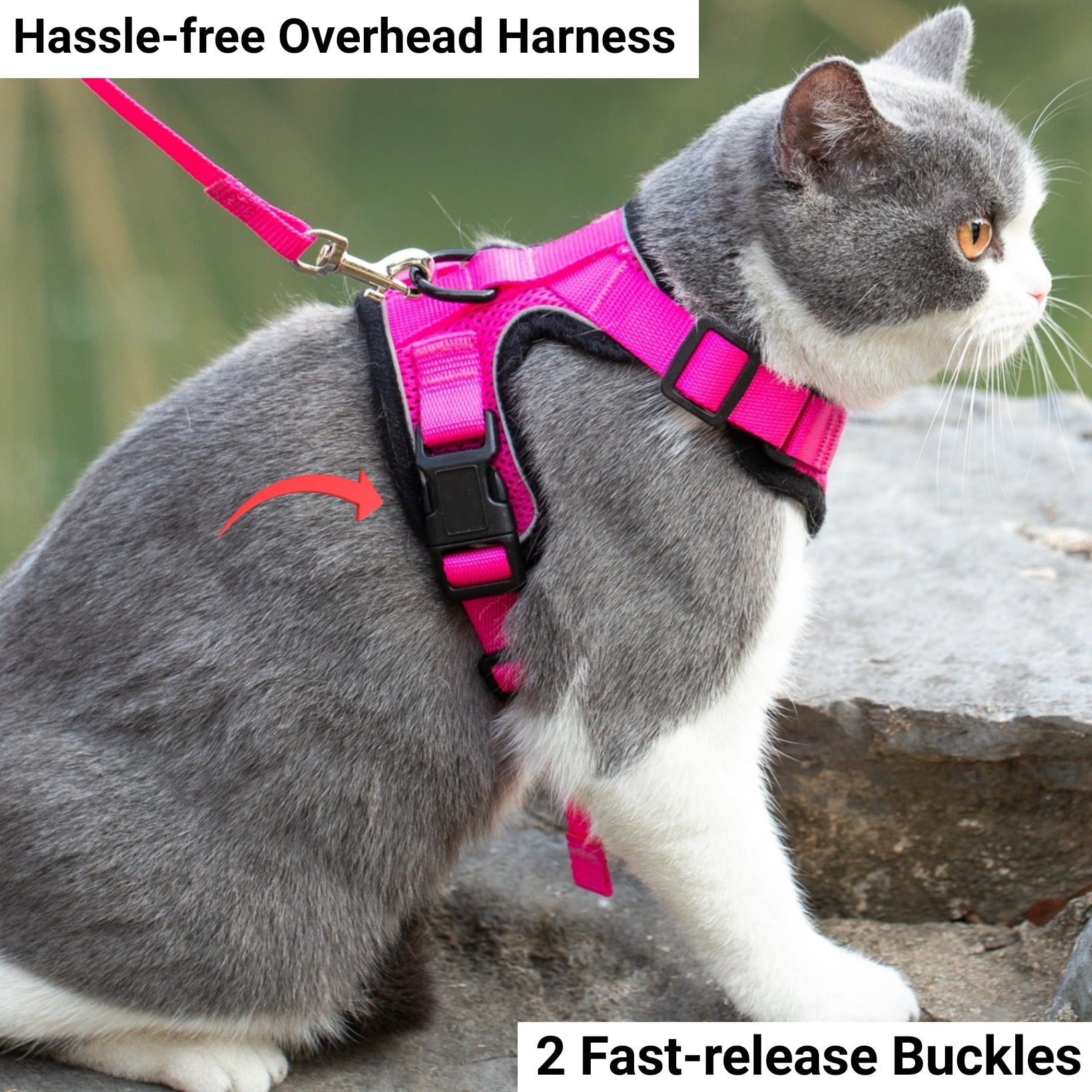 Mr. Peanuts PurrTrek Reflective Cat Harness with Matching Leash