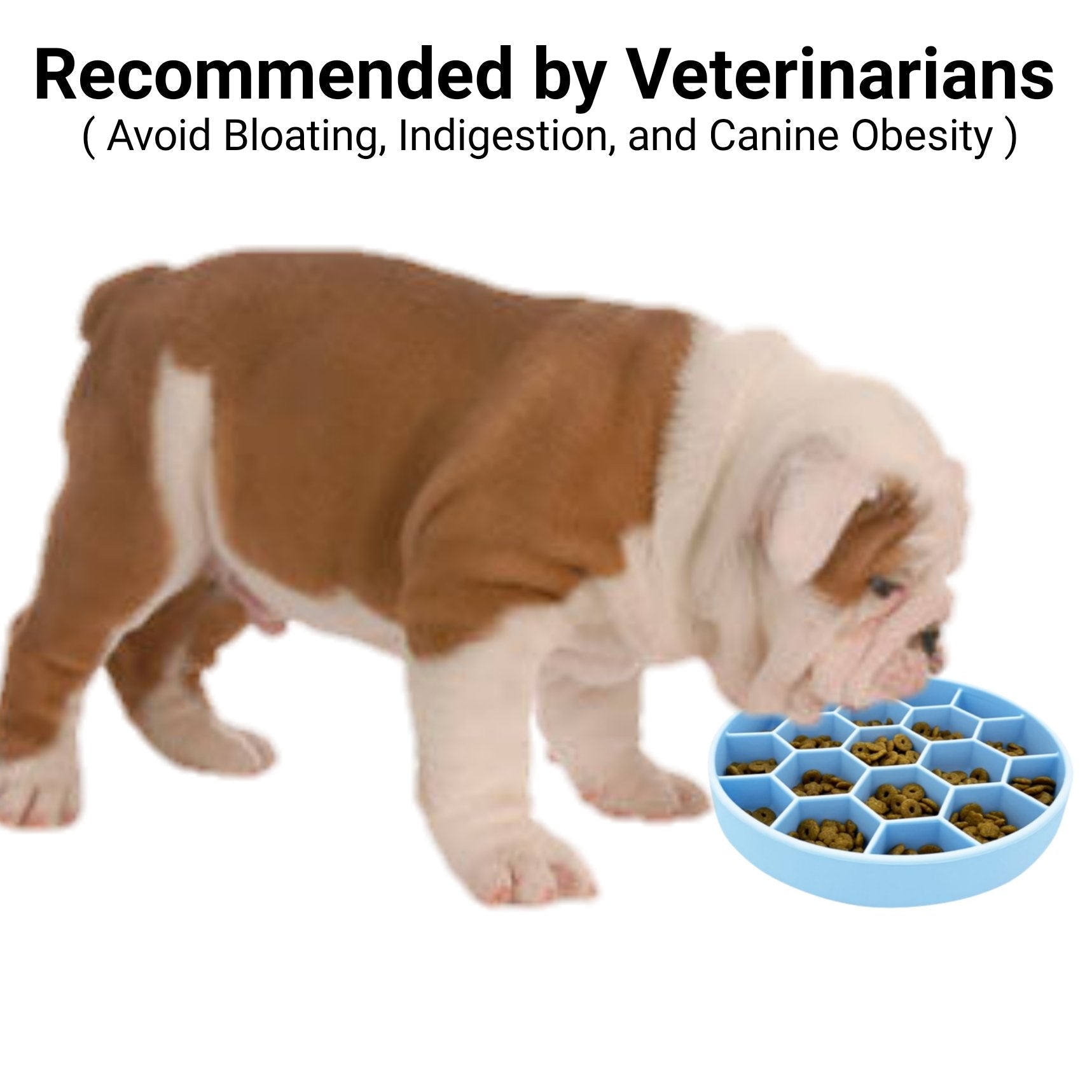 Mr. Peanuts Silicone Slow Feeder Dog Bowl