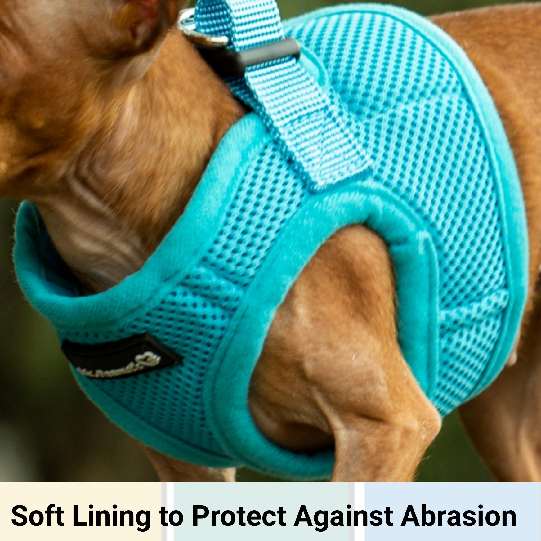 Mr. Peanuts PupTrek Harness and Leash Set, Small Dog/Cat Soft Mesh Step In Harness Vest