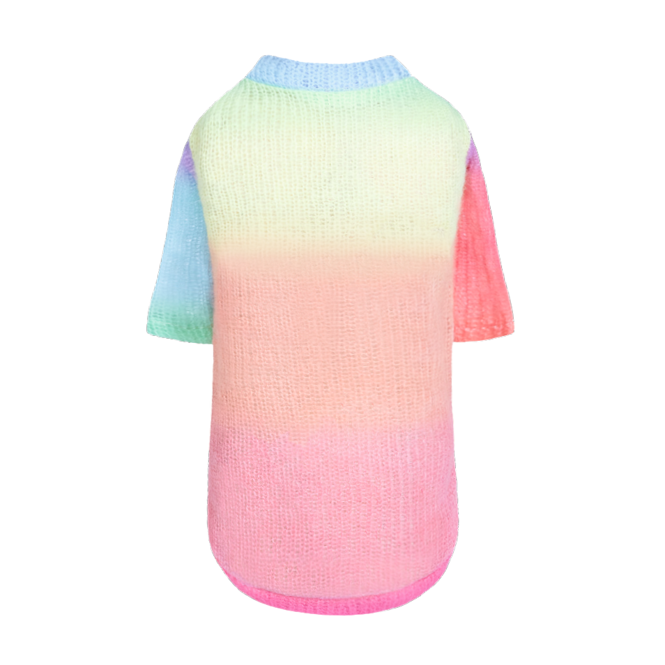Hello Doggie Rainbow Dog Sweater