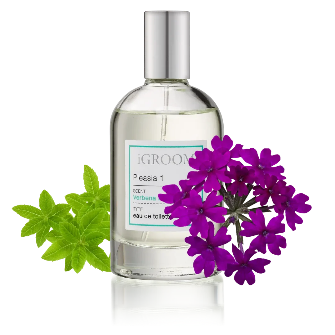 Pleasia 1 Perfume 100ml by iGroom