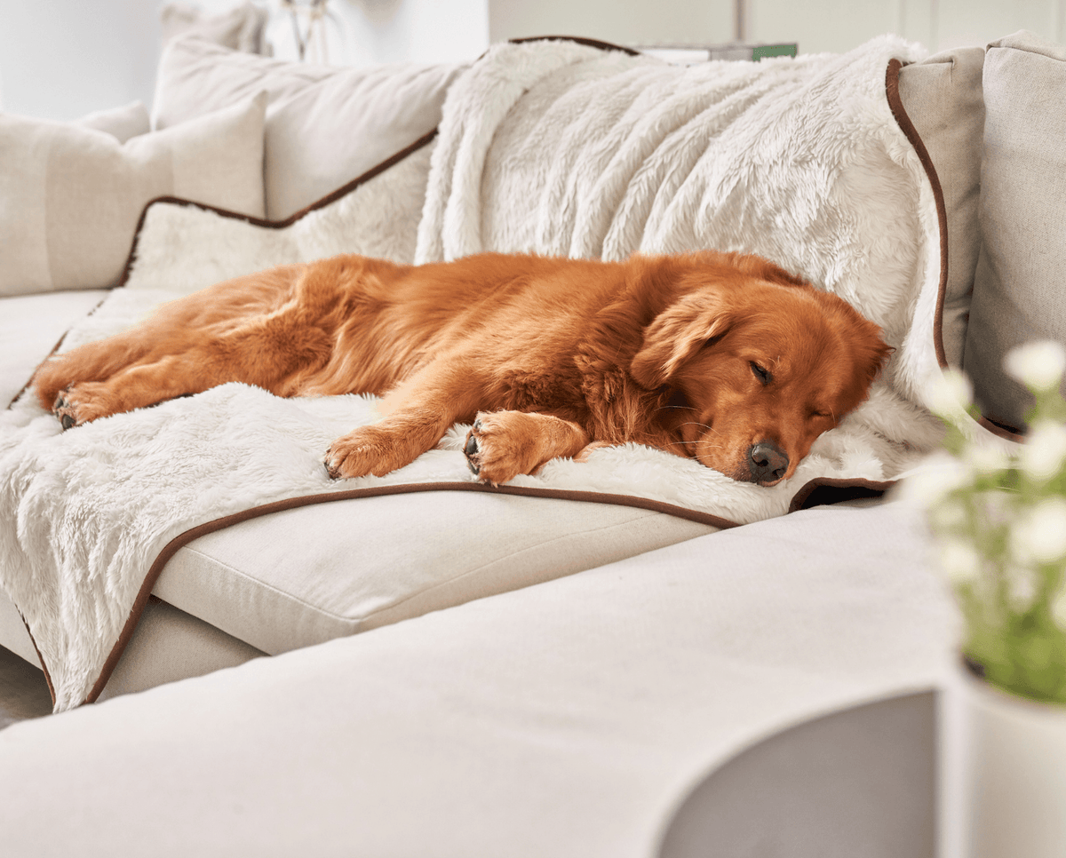 PupProtector Short Fur Waterproof Throw Blanket Polar White