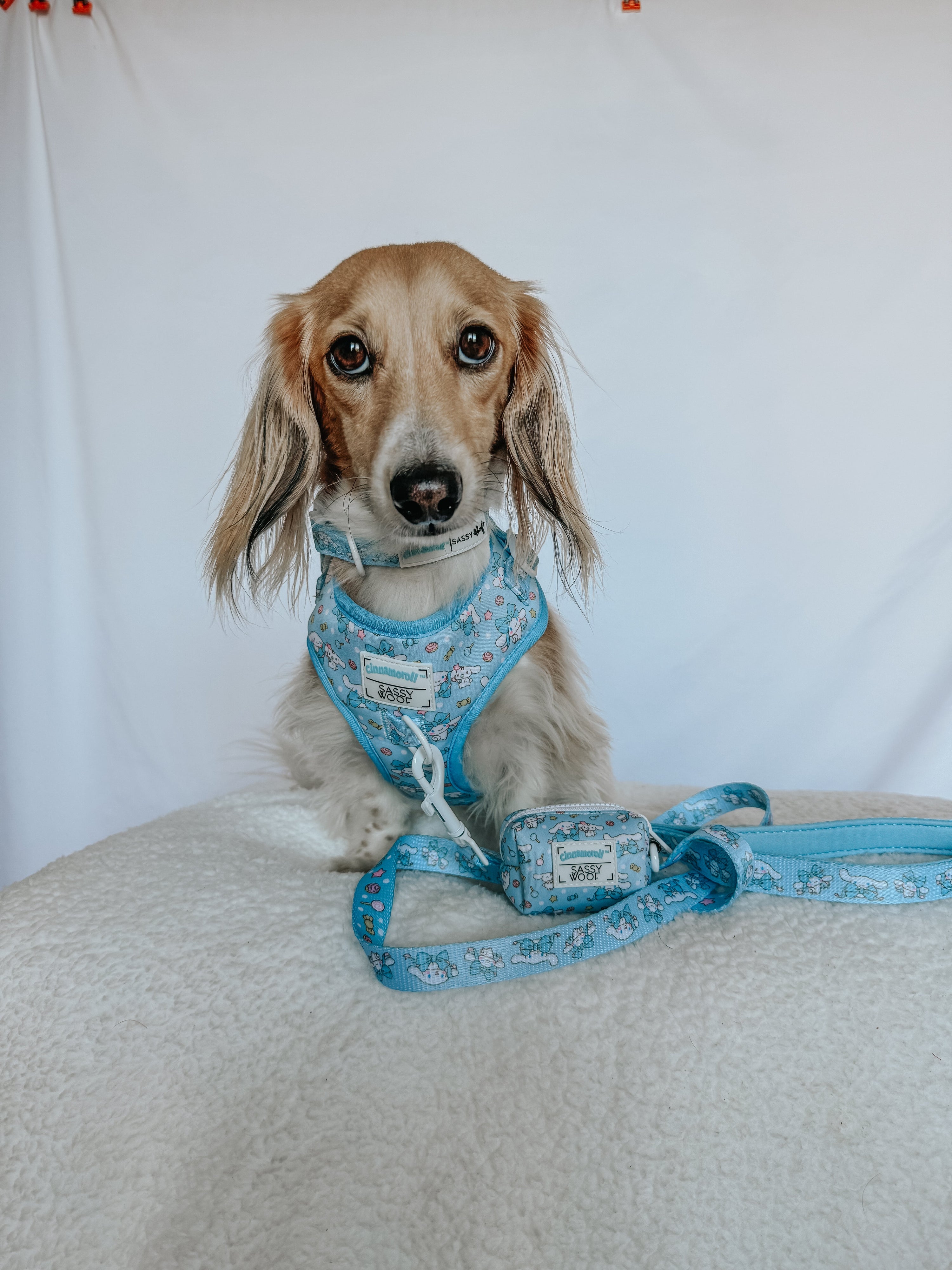 Dog Adjustable Harness - Cinnamoroll™