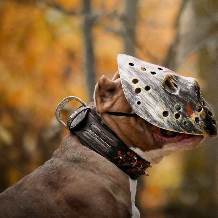 Bestia Haunted Limited Edition Leather Dog Collar