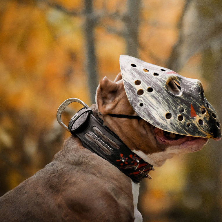 The "Haunted collar LIMITED