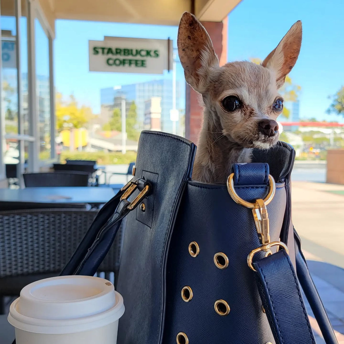 Parisian Pet Santorini Carrier