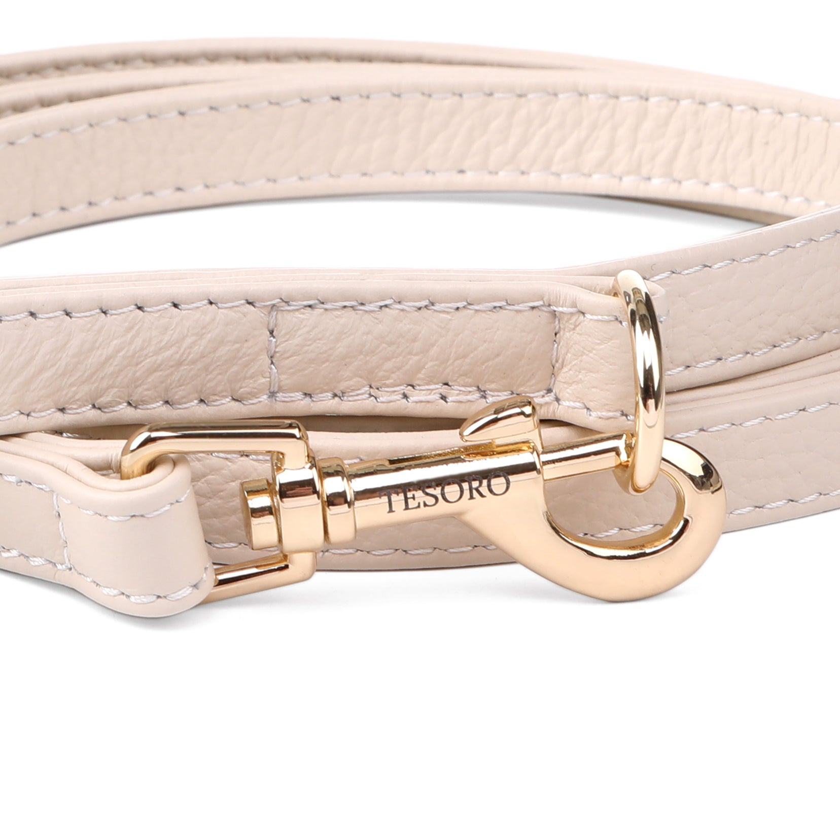Dog Leash