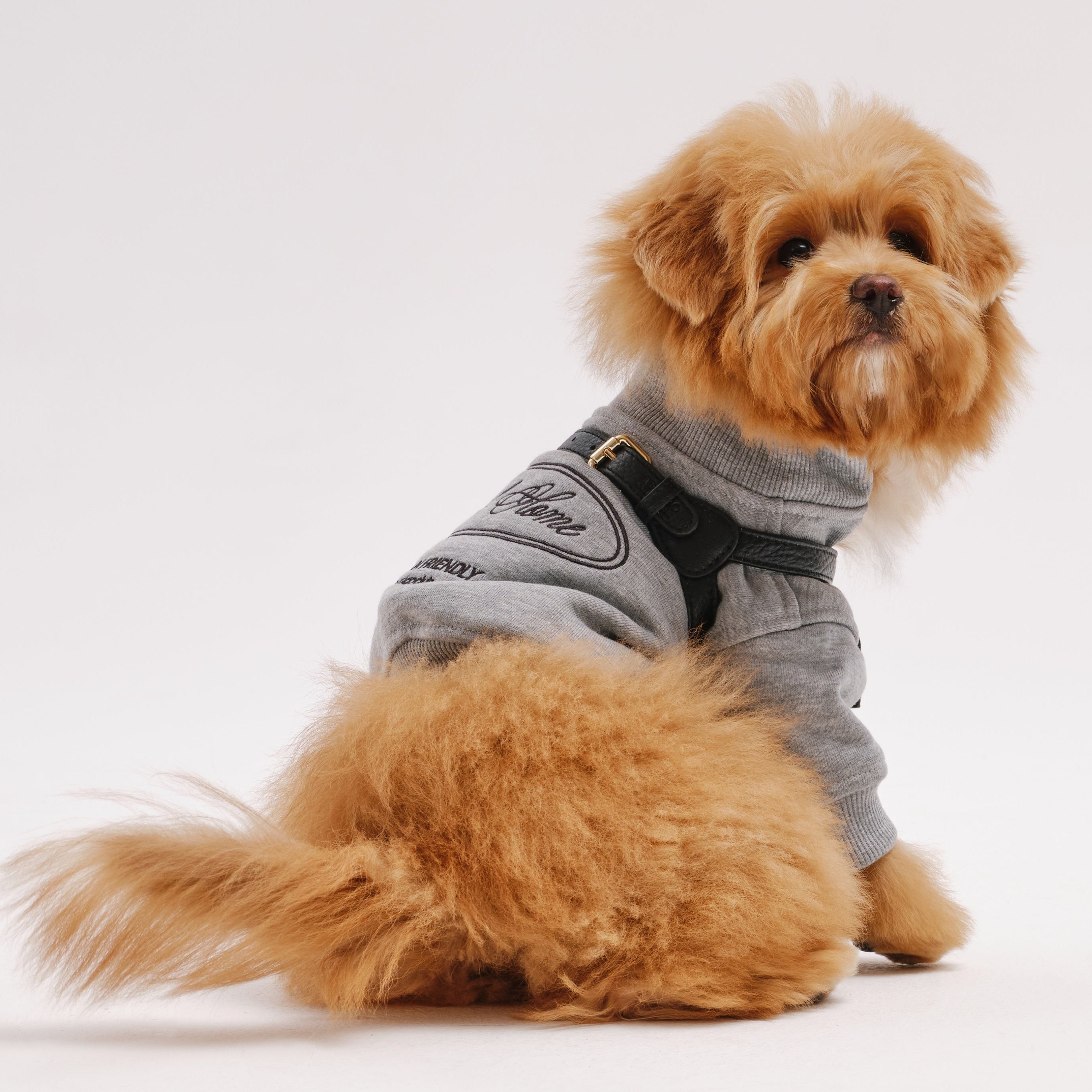 Dog Harness