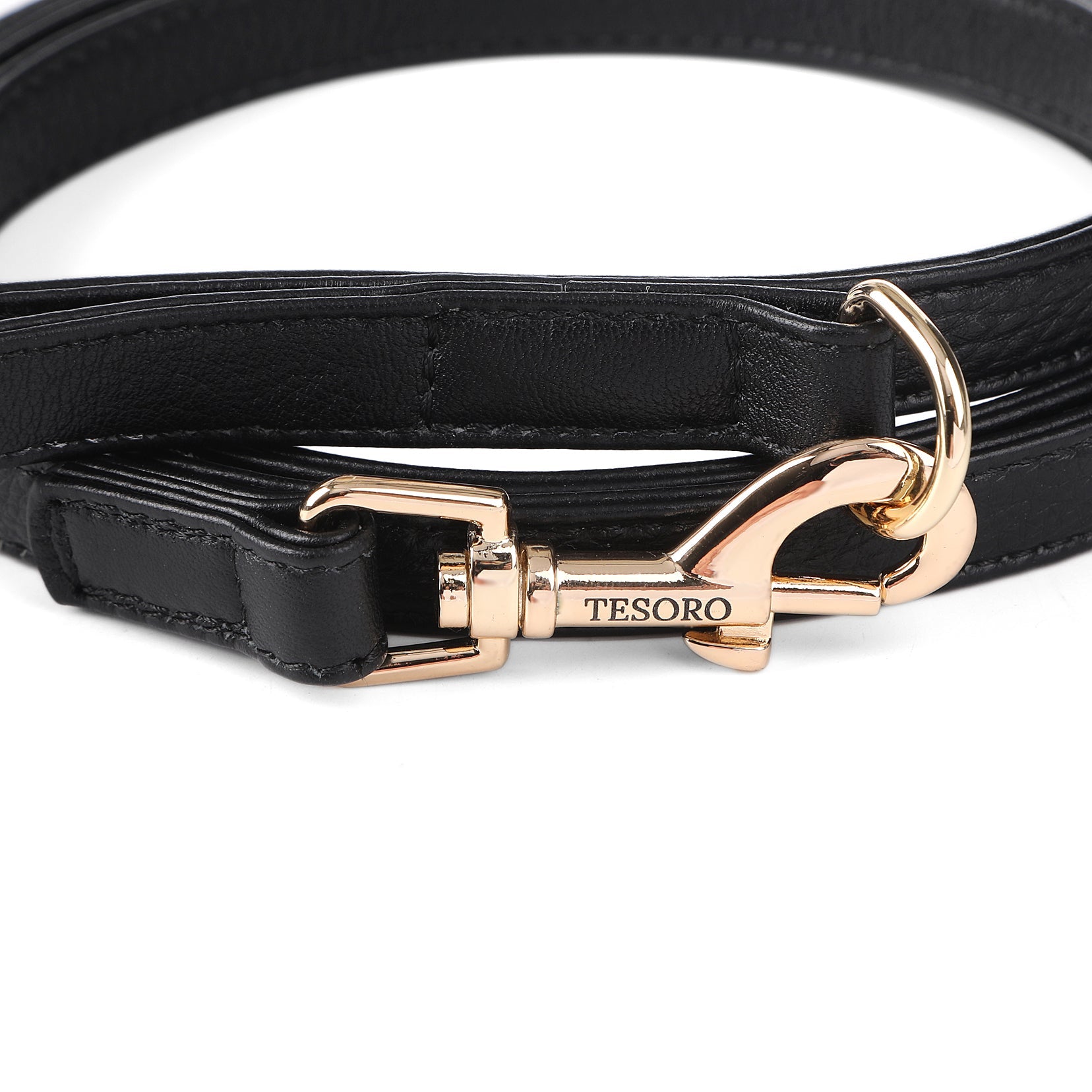 Dog Leash