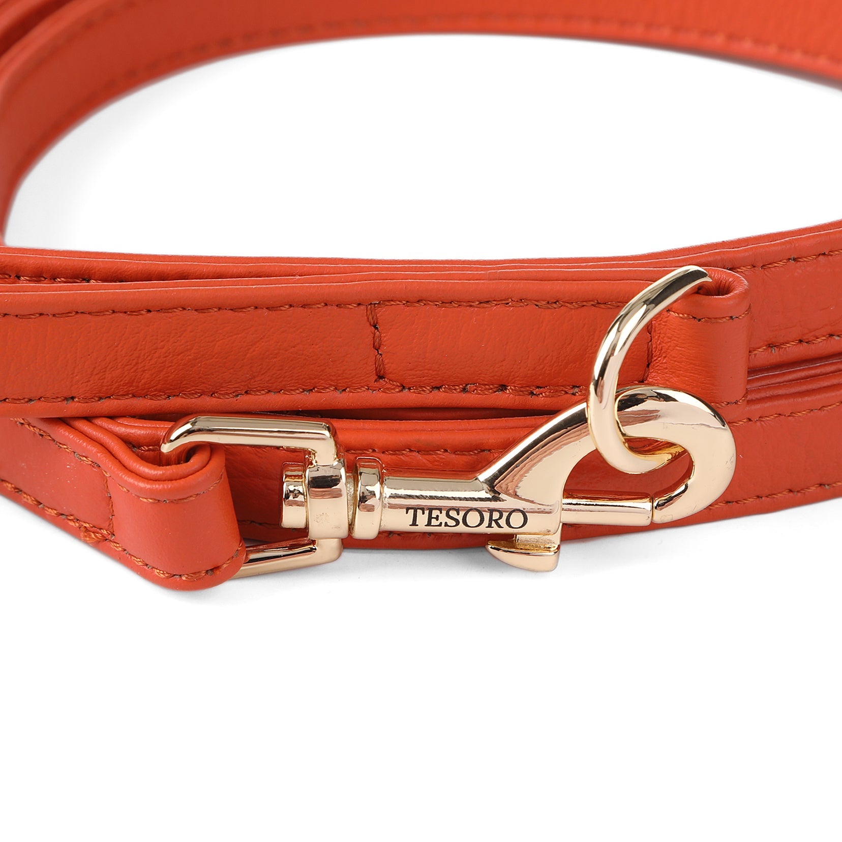 Dog Leash