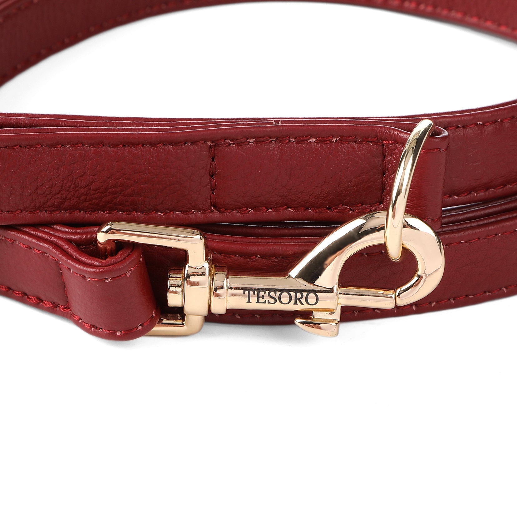 Dog Leash