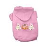 Pretty Little Ghosts & Pumpkin Dog Hoodie