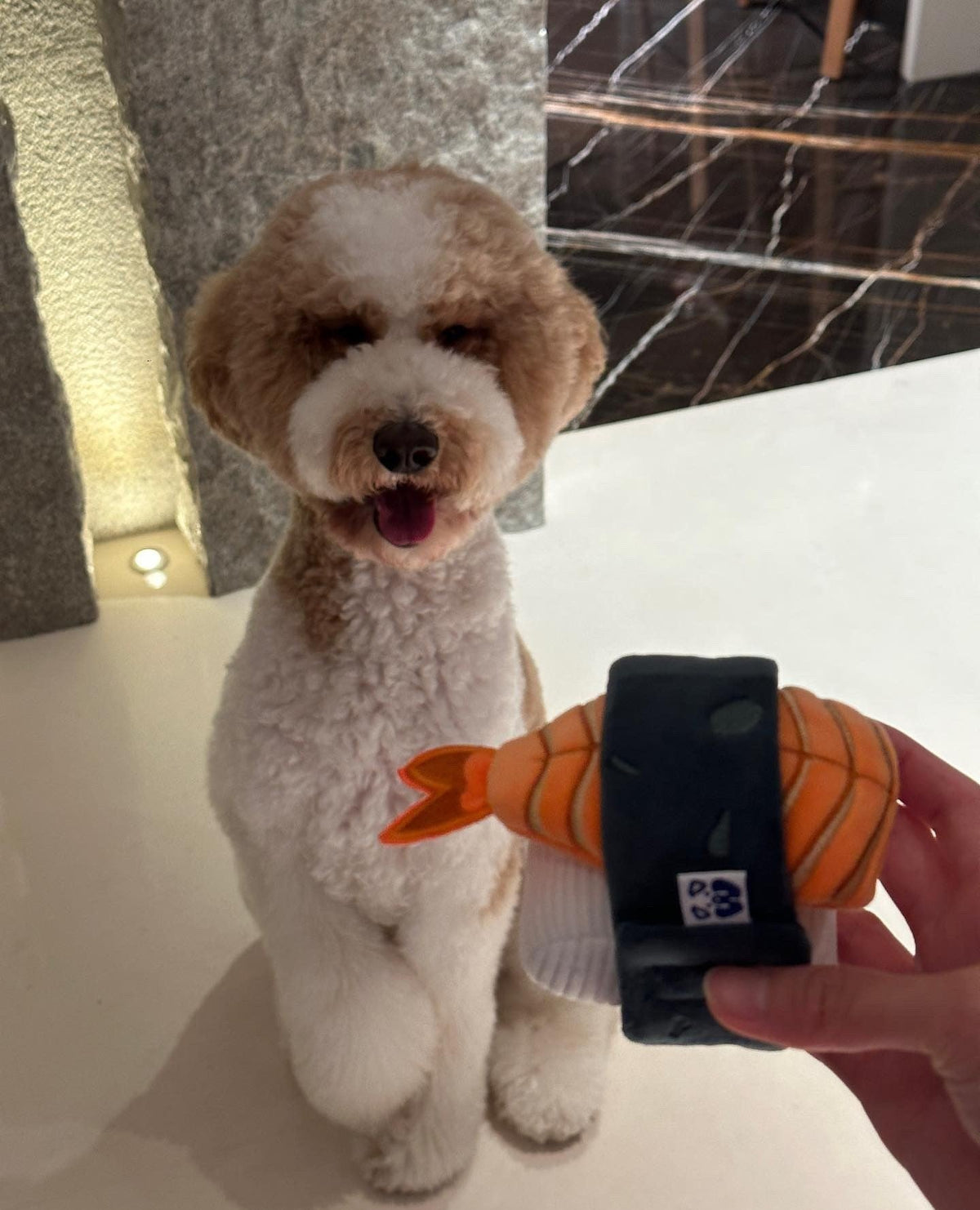 Pawty Sushi Set Plush Dog Toy