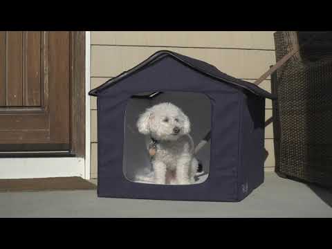 Pet Life 