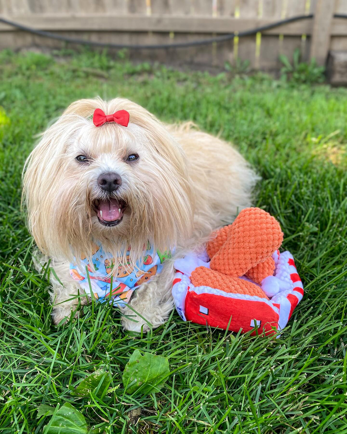 Pawty Fried Chicken Interactive Snuffle Dog Toy
