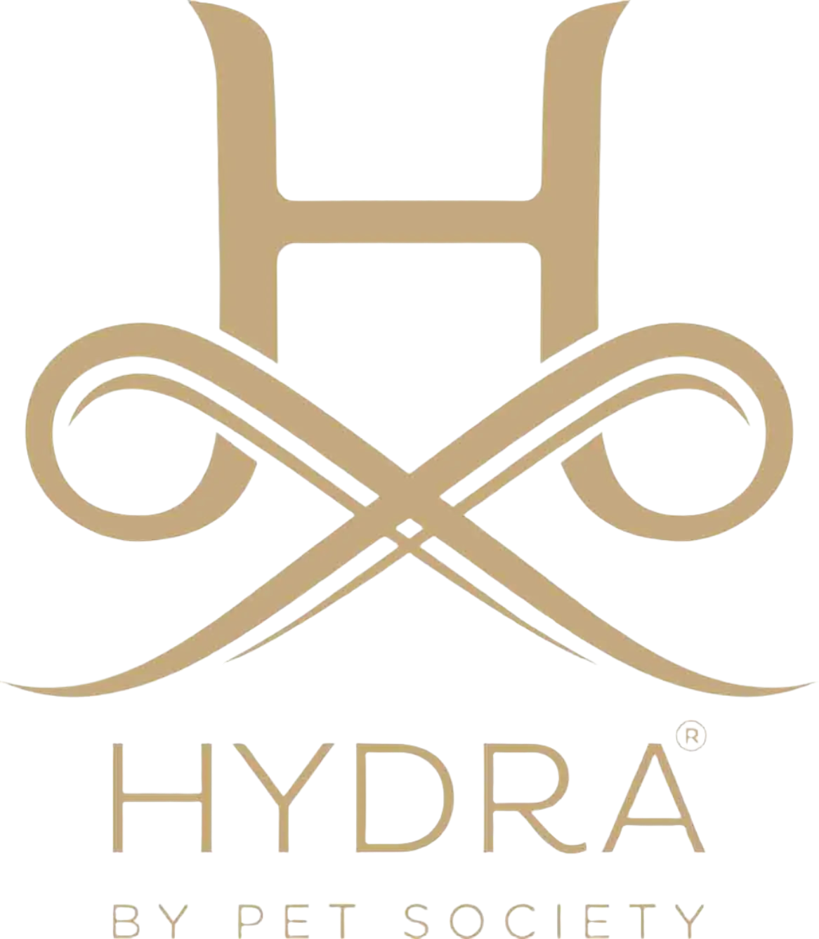 Dematting Spray Retail 8.11oz by Hydra