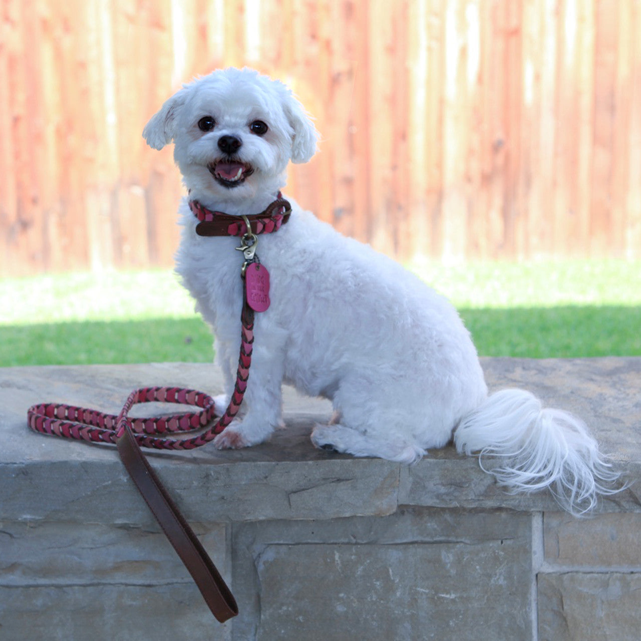 Shades of Pink Leather Dog Collar