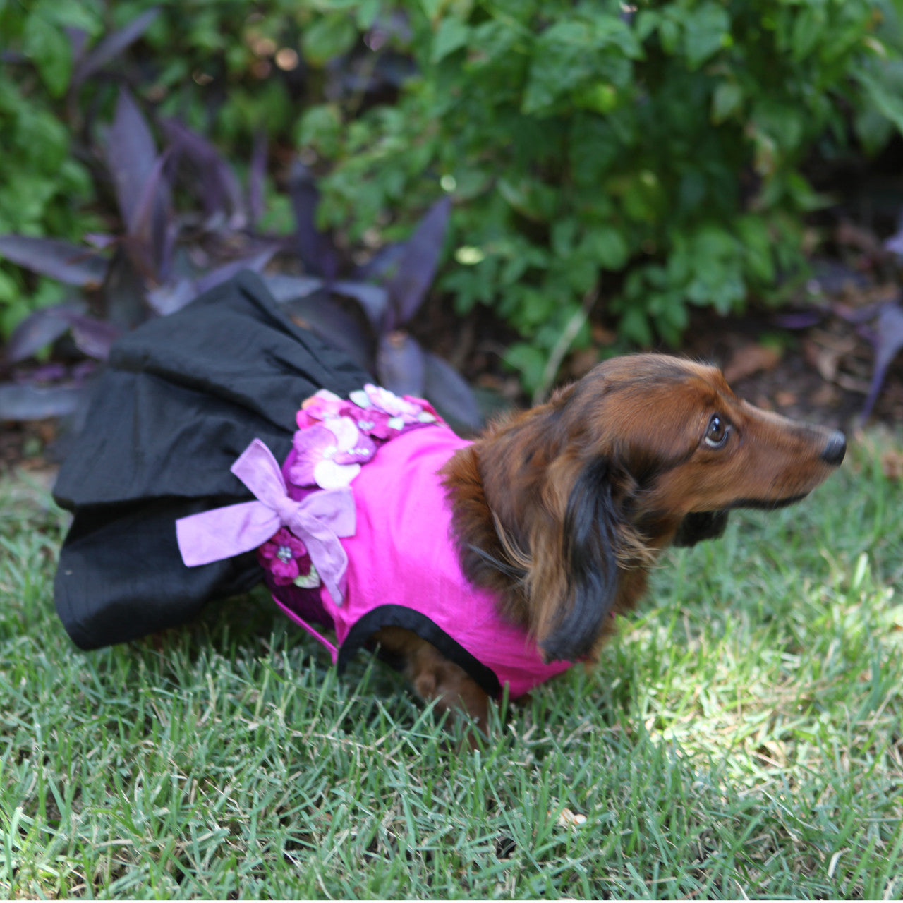 The Kaitlyn Silk Dog Harness Dress