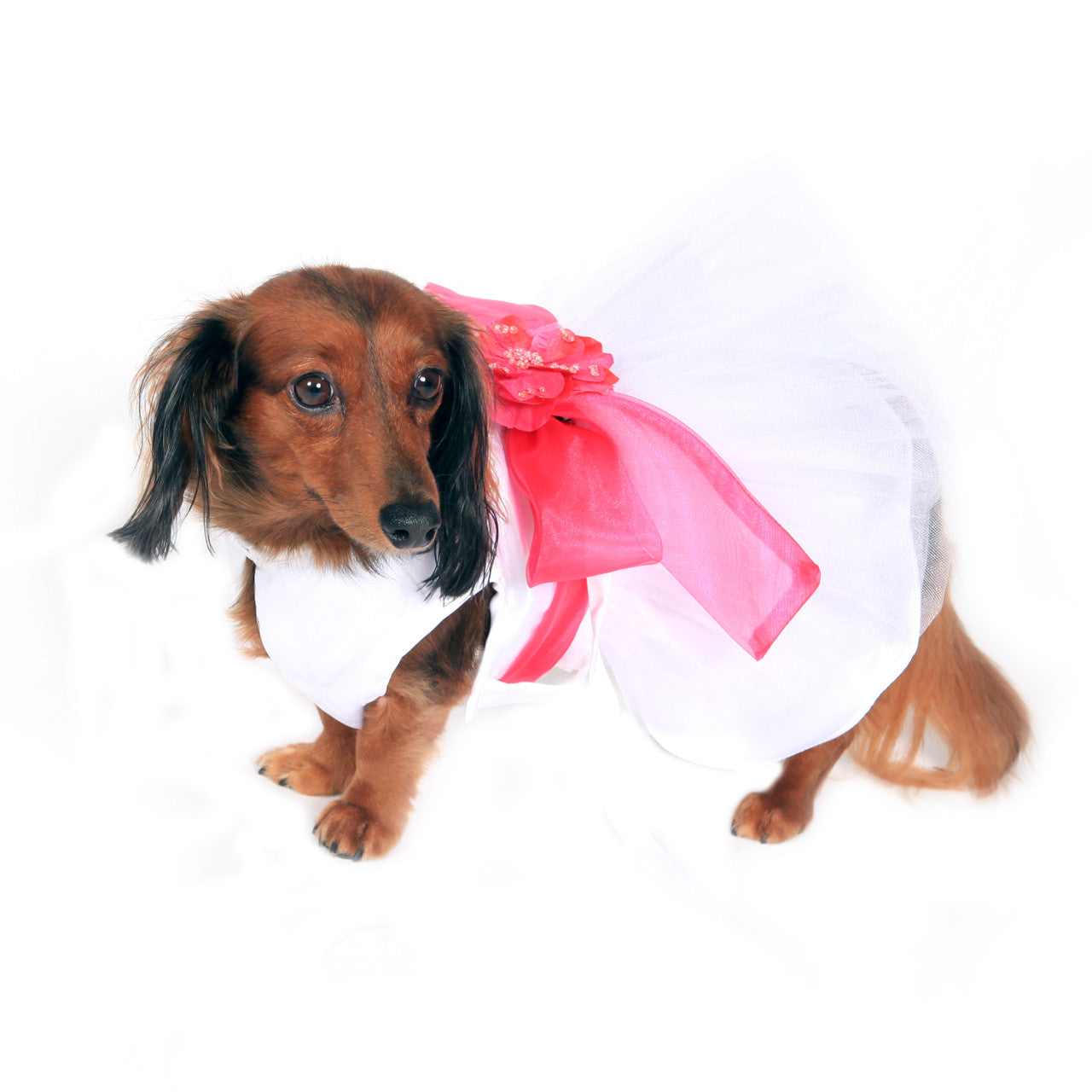 The Madeleine Dog Harness Dress with Hot Pink Sash