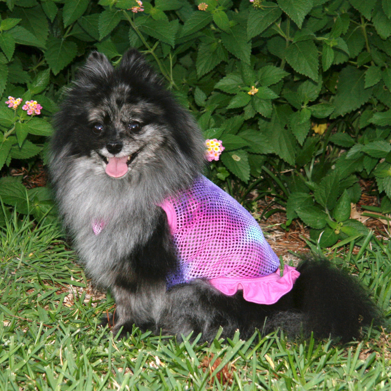 The Peace & Love - Tie Dyed Fishnet Dress