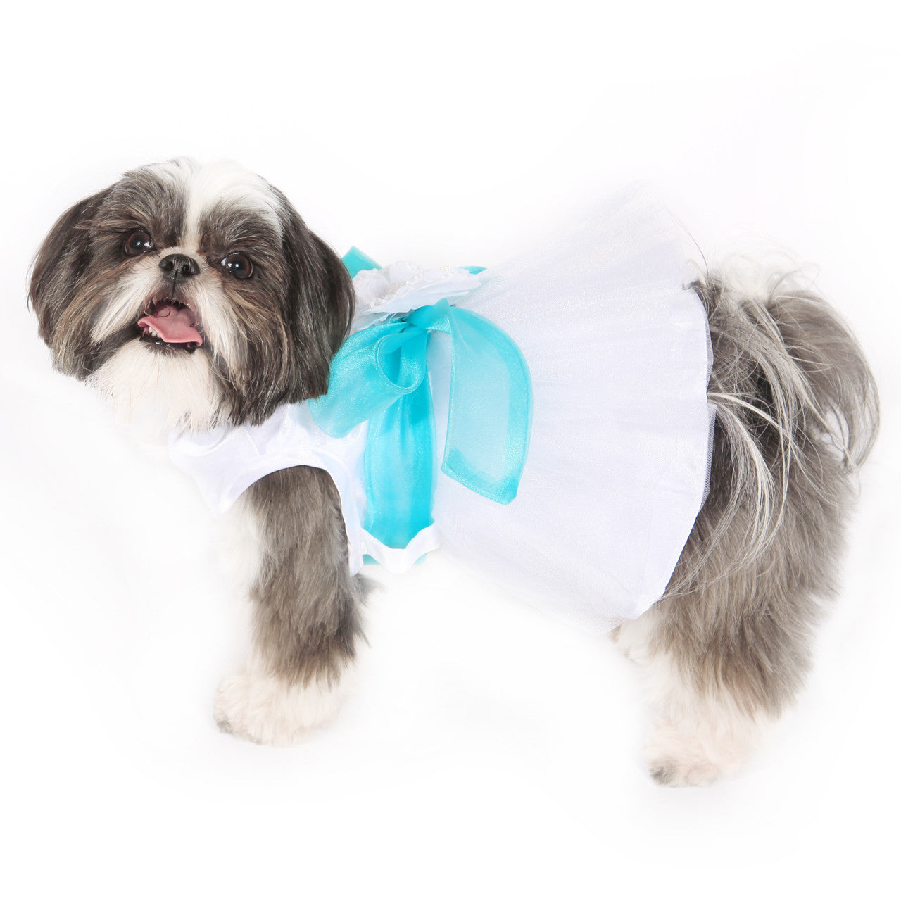 The Madeleine Dog Harness Dress with Aqua Sash