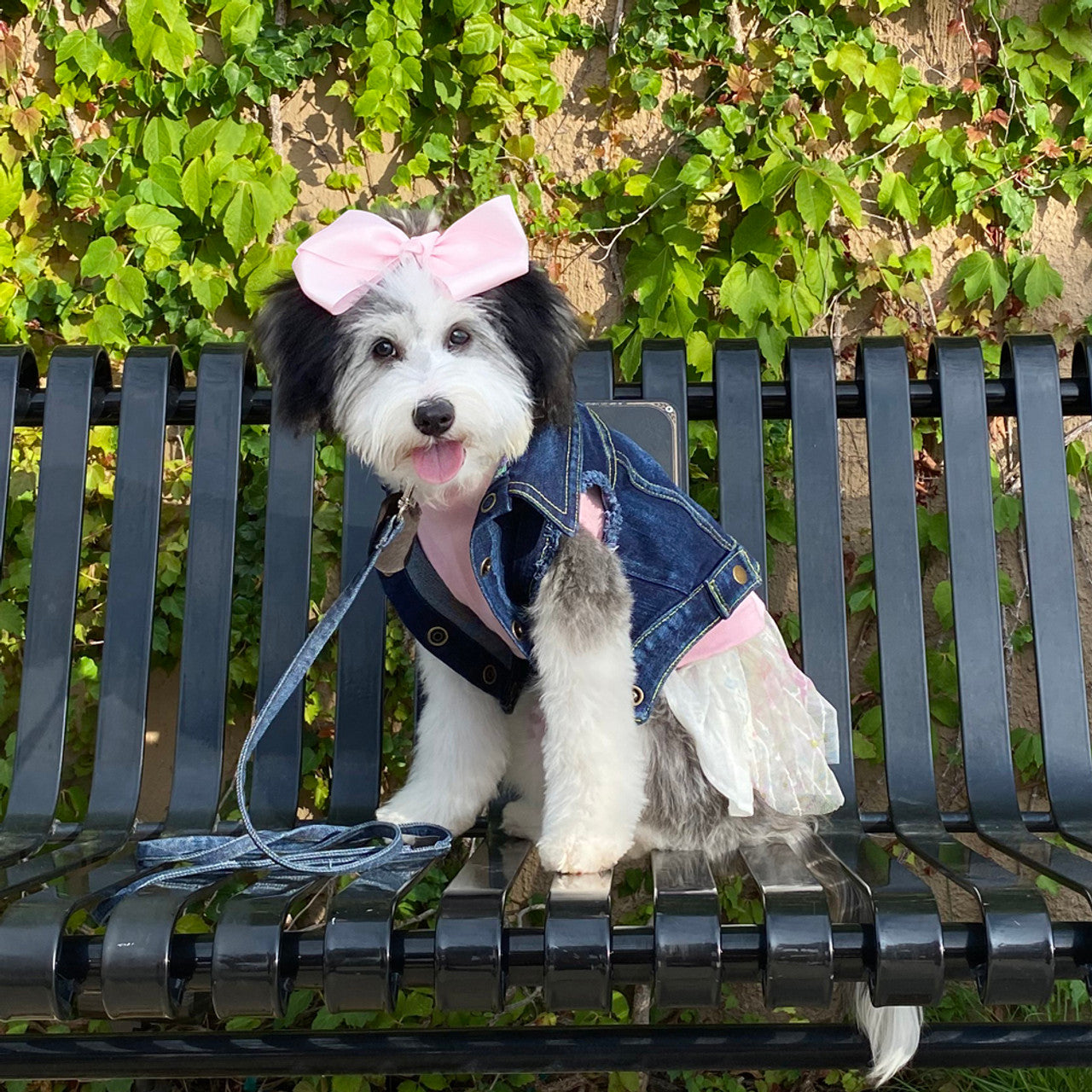 Custom James Dean - Denim Jacket