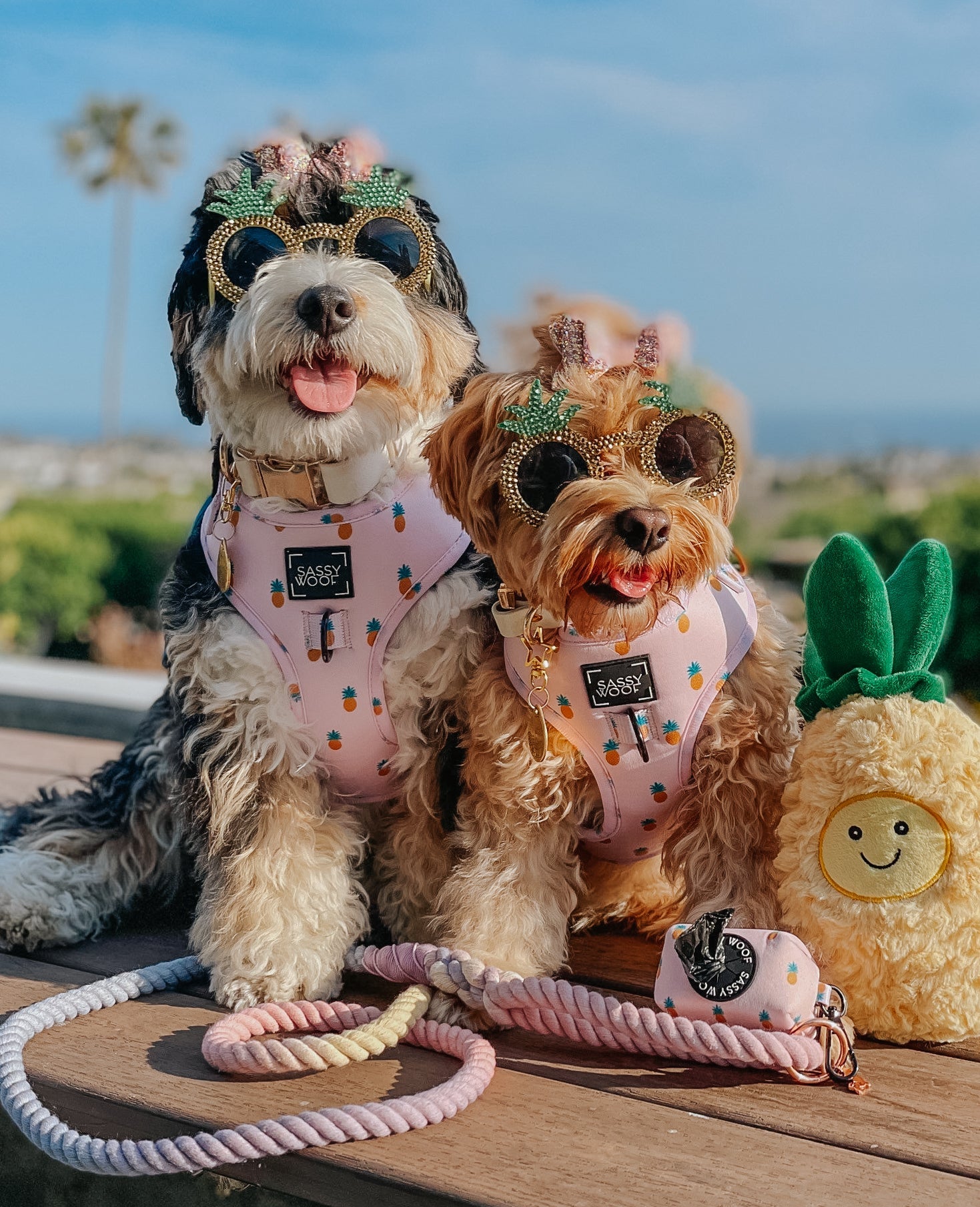 Dog Rope Leash - Caroline